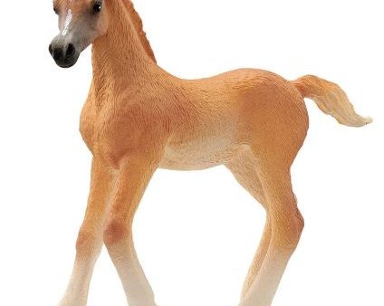 SCHLEICH - ARABIAN FOAL Sale