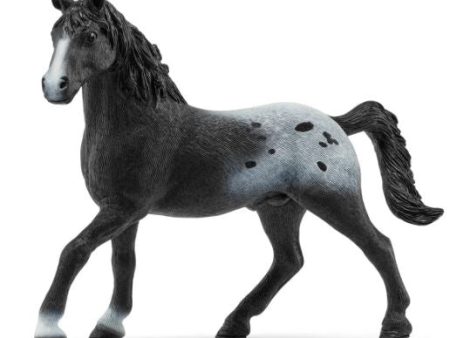 SCHLEICH - KNABSTRUPPER STALLION For Sale