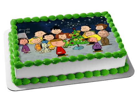 Charlie Brown Christmas Special Snoopy Peanuts Edible Cake Topper Image ABPID50648 Online