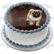 Pug Puppy Edible Cake Topper Image ABPID50480 Discount