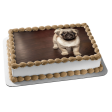 Pug Puppy Edible Cake Topper Image ABPID50480 Discount