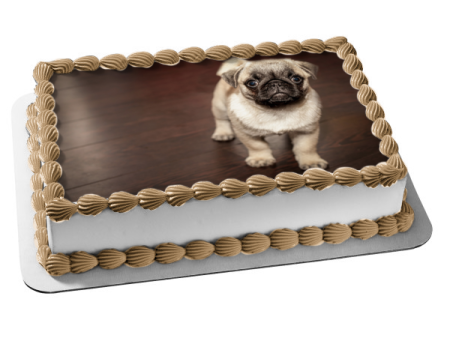 Pug Puppy Edible Cake Topper Image ABPID50480 Discount