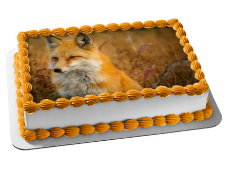 Autumn Fox In Field Edible Cake Topper Image ABPID50475 Online Sale