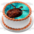 Swimming Sea Turtle Edible Cake Topper Image ABPID50482 For Discount