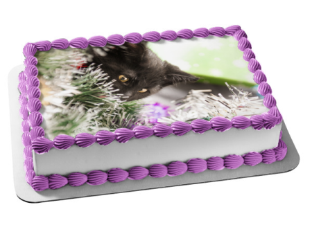 Sneaky Holiday Kitten Edible Cake Topper Image ABPID50466 Online Hot Sale