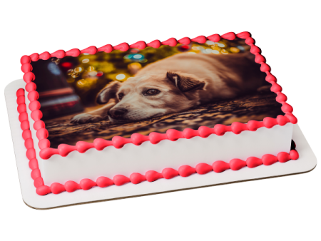 Pooch Waiting for Santa Edible Cake Topper Image ABPID50465 Hot on Sale