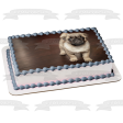 Pug Puppy Edible Cake Topper Image ABPID50480 Discount