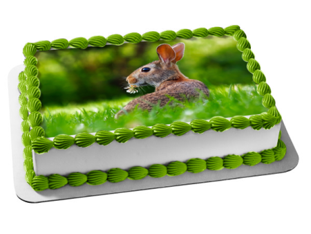 Rabbit Relaxing In Green Grass Edible Cake Topper Image ABPID50481 Fashion