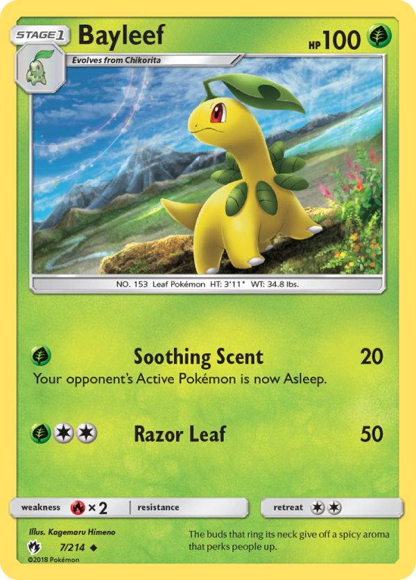 Bayleef (7 214) [Sun & Moon: Lost Thunder] Hot on Sale